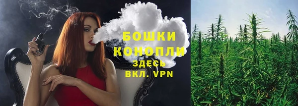 метадон Нея